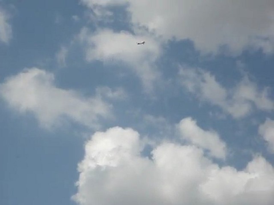 le vol du robin par Fredo