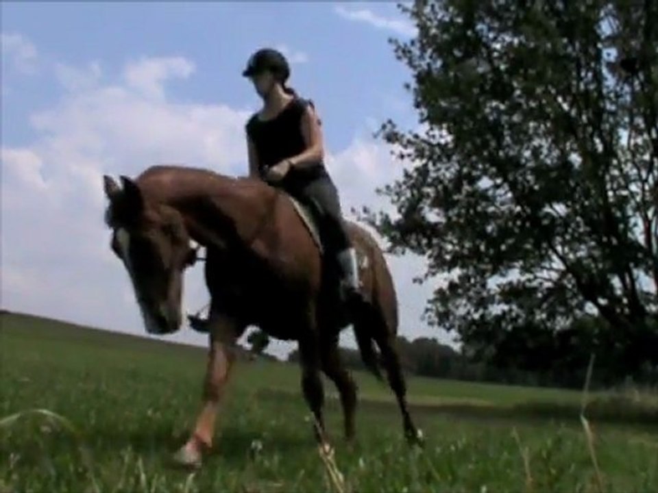 Montage Norton licol pré