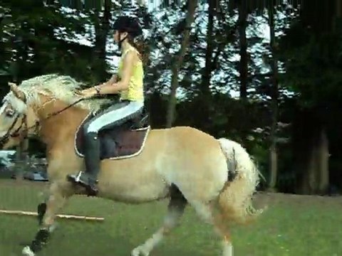 ma jument et moi en saut le 3 juin 2011