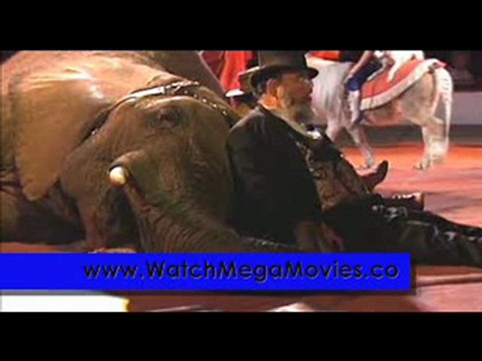 One Lucky Elephant