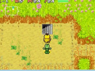 walkthrough de pokemon donjon mystère 1