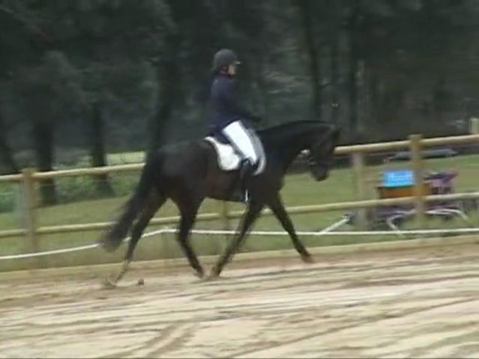 Petroesjka Z dressage malafretaz cycle libre 1 preliminaire