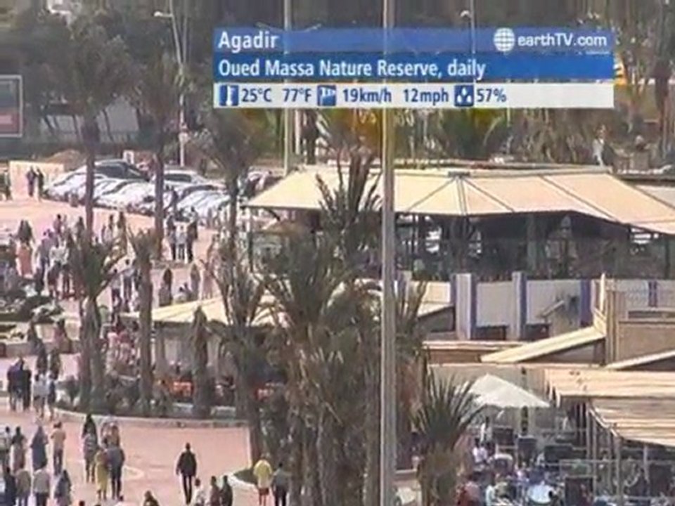 Amsterdam - Netherlands, Antibes - Juan-les-Pins - France, Ekaterinburg - Russia, Agadir - Morocco, Sydney - Australia, Ascona - Ticino - Switzerland, Venice - Italy