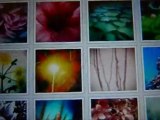 Flashez nous : 7 photographes, 150 flashcodes pendant Cahors juin Jardin 2011