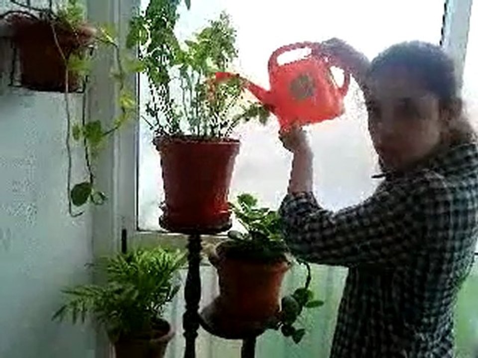 Vivian Maltas y Ghizlane Talhaoui