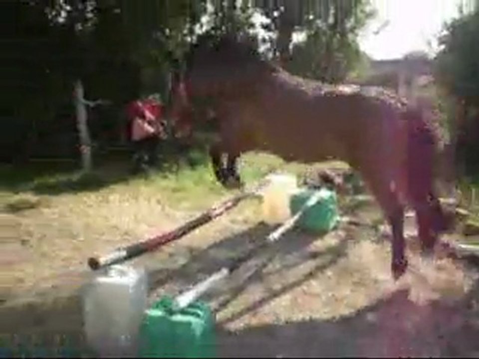 Tornado saut en liberté (2juin2011)