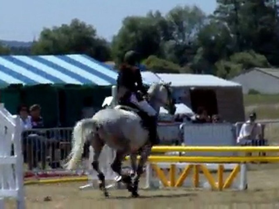 CSO Championnat Départemental SISSONE, D4p. 2 juin 2011.