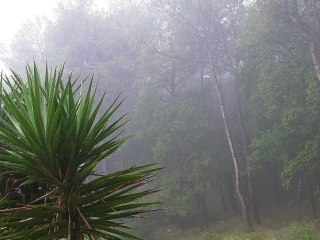05/06/2011 Météo à Antibes ce dimanche