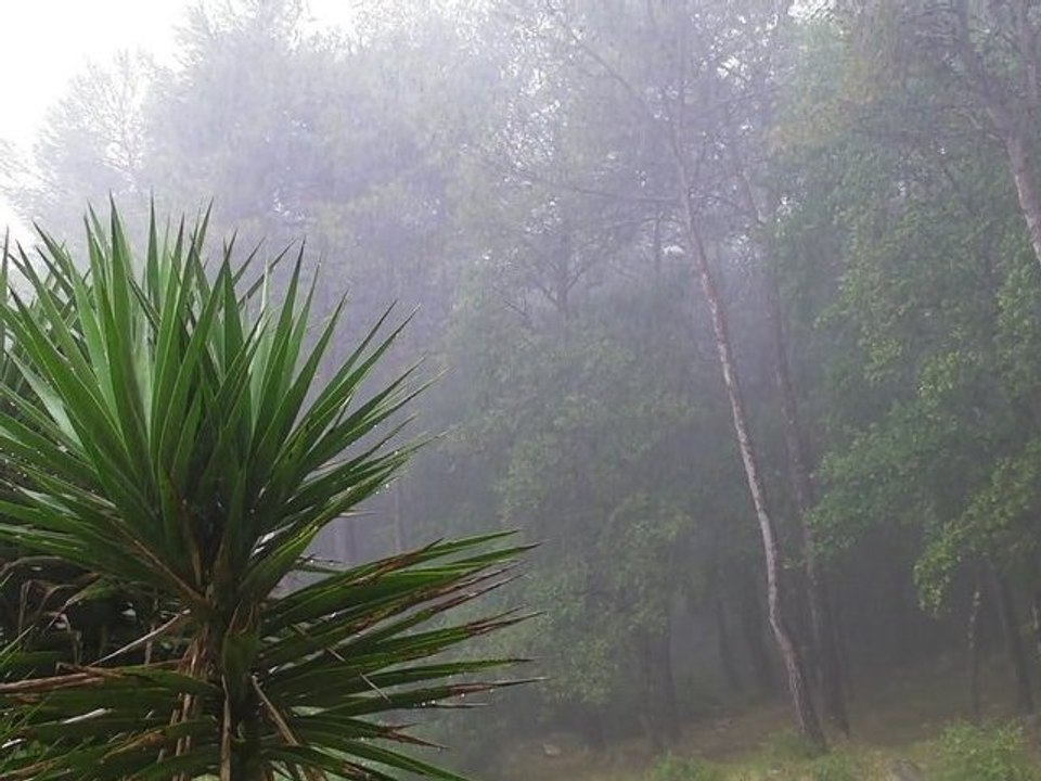 05/06/2011 Météo à Antibes ce dimanche