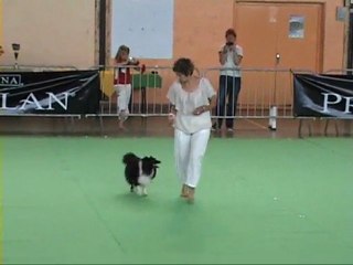 EMMY CONCOURS OB.R BESANCON 4.06.2011