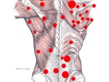 Ogden Massage Therapy - Benefits of Structural Integration