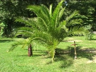 L'affaire FLG, complément d'enquète