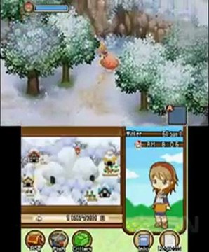 Vidéo Gameplay - Harvest Moon 3D: The Tale of Two Towns