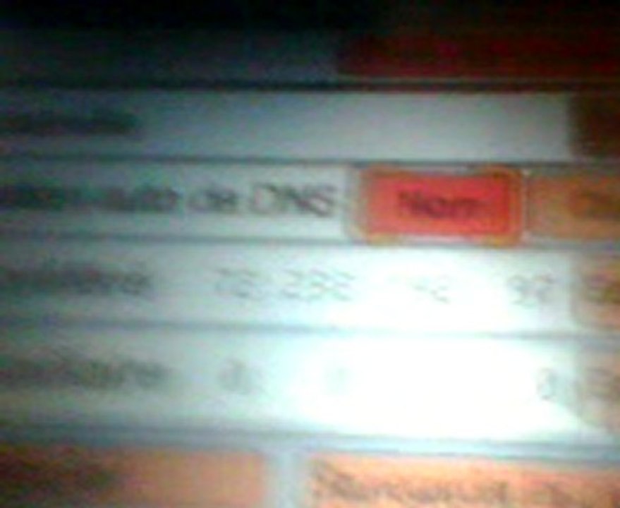 test de code dns de hericendre jap (avec super bonbon)