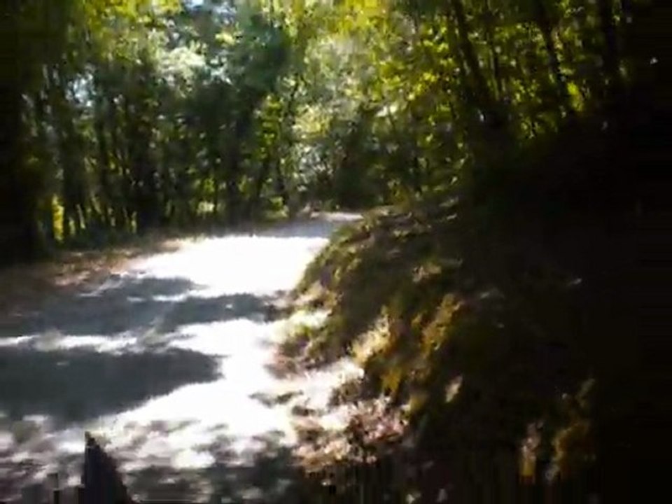 Rando 03-06-2011