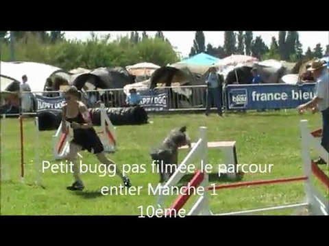 Buck Selectif Agility GPF Avignon 22/05/11