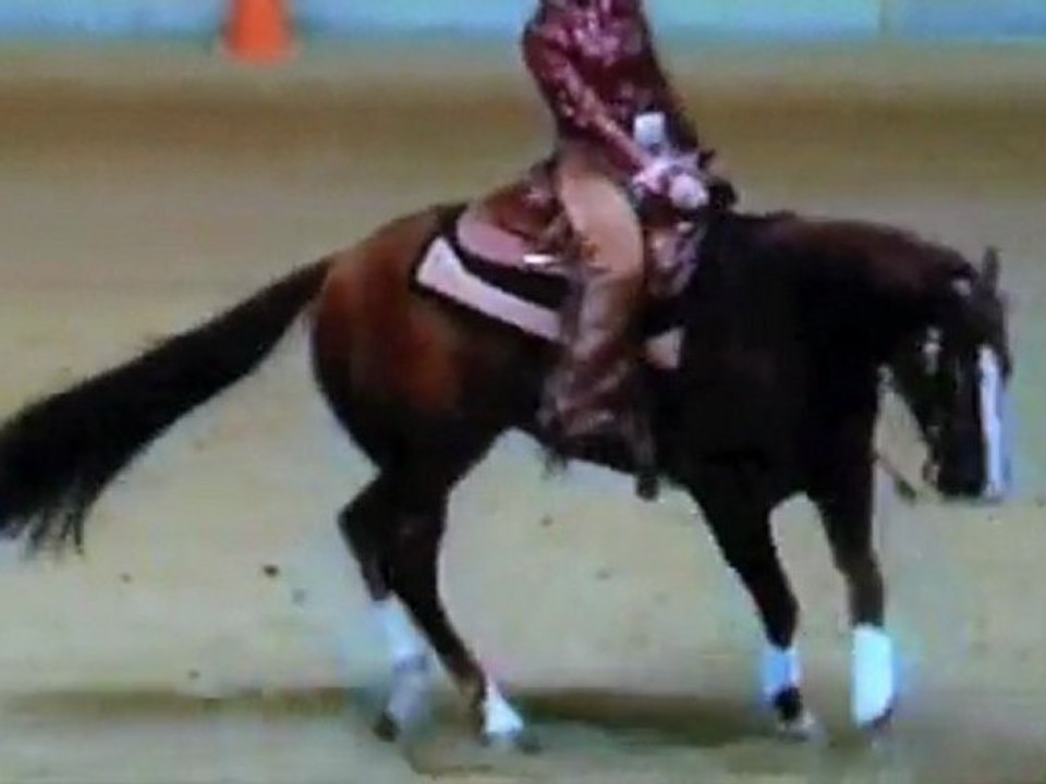 Poco Ruf Peppy (rufus) 2008 in Kreuth