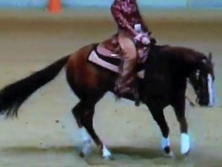 Poco Ruf Peppy (rufus) 2008 in Kreuth