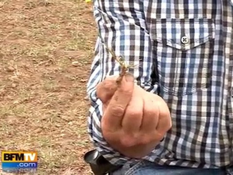 Les agriculteurs espèrent encore d’autres pluies