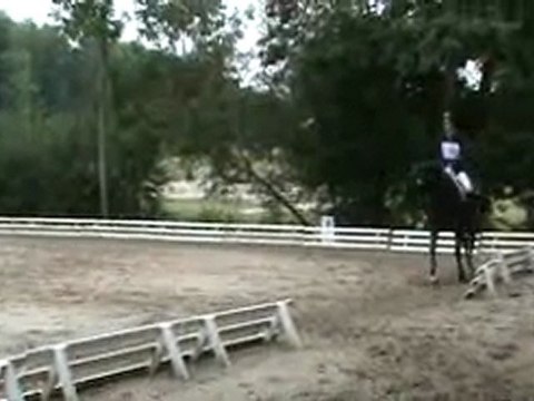 cce fontenay dressage oberon