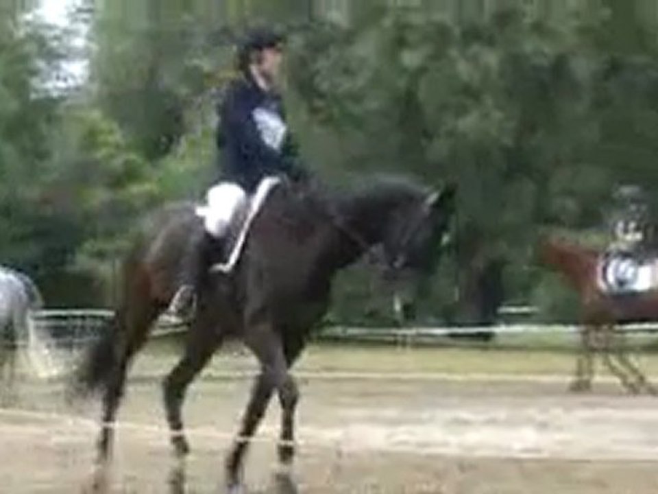 cce fontenay détente oberon