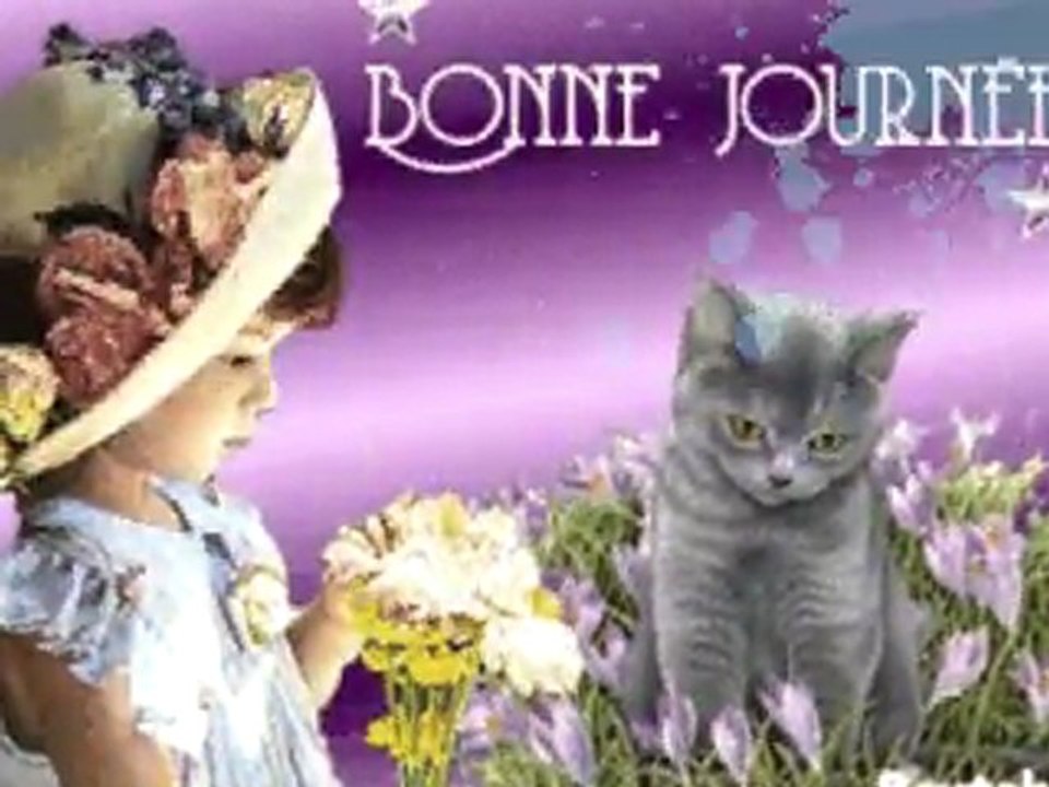 Bonne journée à la guitare et accordéon avec chats