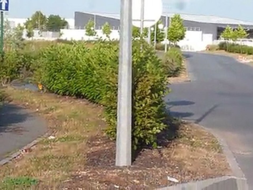 SECMA F16 Baboon essai pot MTR inox 2