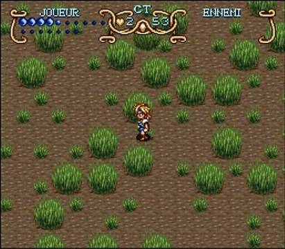 Illusion of Time 35/ Labyrinthe de buissons