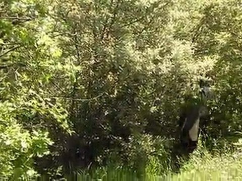 05.06.2011 AYTEPE-ÇUBUK ZİRVE DAĞCILIK-2