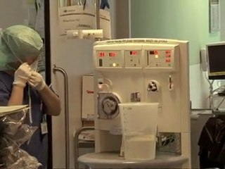 Beansprouts likely cause of E.coli outbreak