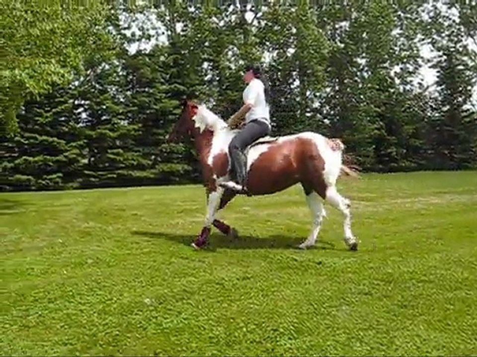 Tara_5juin2011