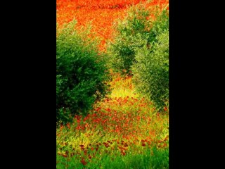 Immobilier sur la Côte d'Azur