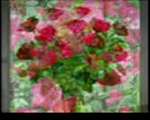 vazgeç gönlüm orhan babaaa...