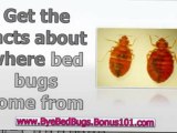 getting rid of stink bugs - treatment for bed bugs - how to detect bed bugs