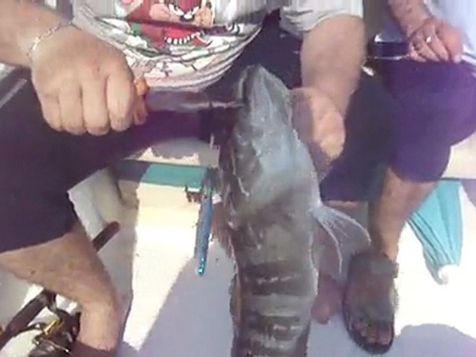 ANTALYA ADRASAN BALIK AVI TURUNDA JIGGING İLE LAGOS AVI - www.adrasanbalik.com