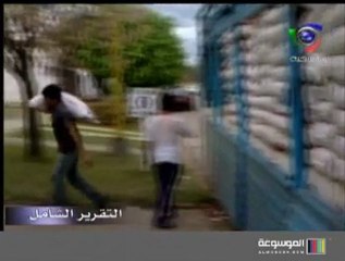 التقرير الشامل - الأغذية المعدلة وراثياً 2/2