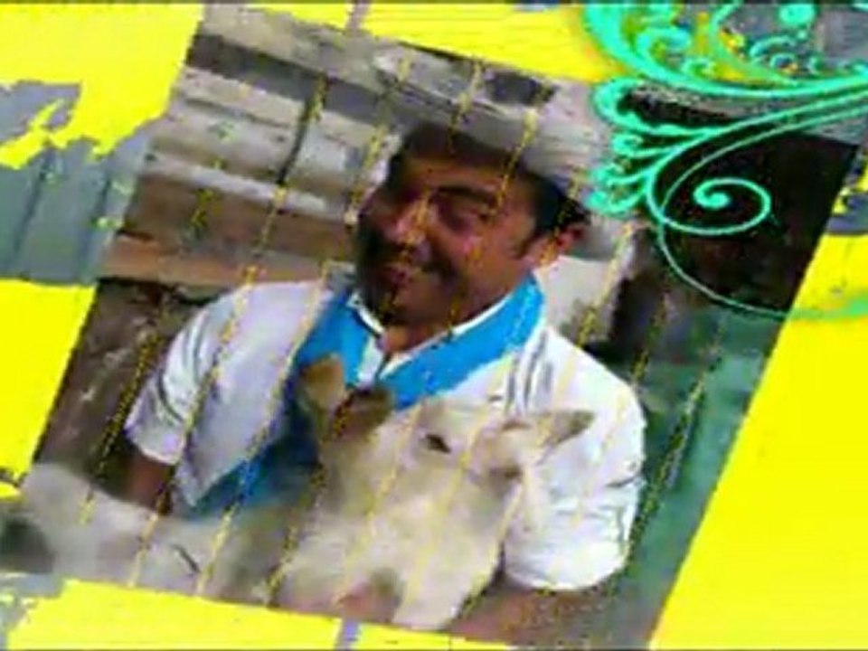 SHOWTV GRUBU SHOWMAX KANALINDA ATAMAN'LA TATILDEYIZ PROGRAMIYLA TATILINIZE NEREDE NASIL GECIRECEGINIZE KARAR VEREBILİRSINIZ!İZLEYİN EYLENİN GULUN HISSEDIN KARAR VERIN!