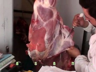 Glandulas sebaceas en los corderos (bravio)