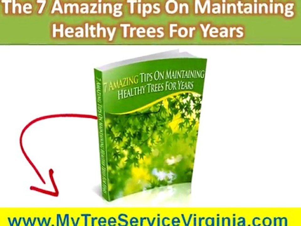 Tree Service Staunton VA|Insect & Pest Control