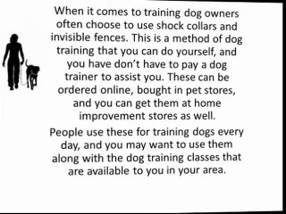 Training Dogs What are my Options