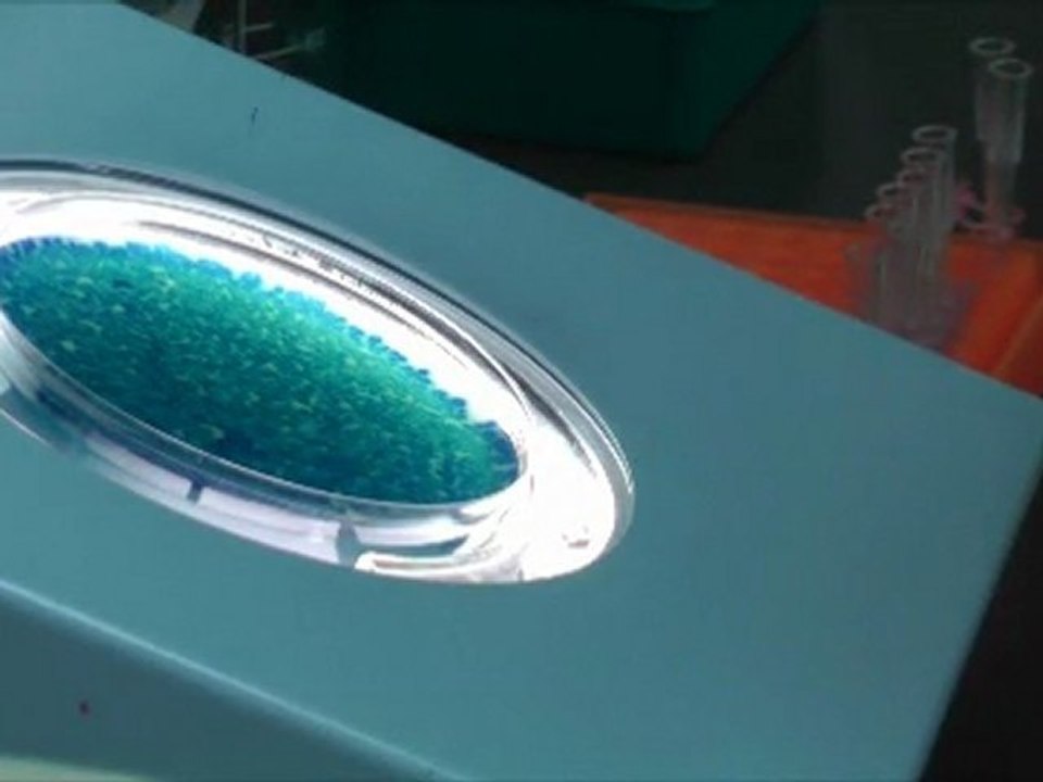 025122_30fps 1080p HD