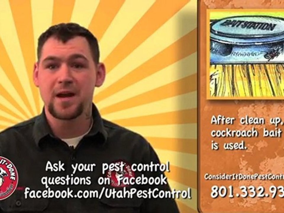 Pest Control Layton - Getting Rid of Cockroaches in Utah