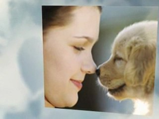 Free Numerology Offers Guidance in Life