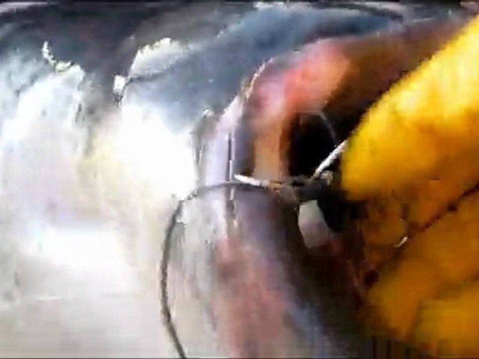 silures de loire 2011 team silure 41