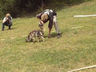 chica  entrainement cavage