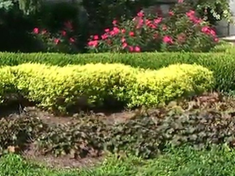 Deer Resistant Plants Garden Architecture, Garden Design Tips NJ