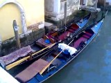 Y en un canal de Venezia,pasa una gondola.!!!