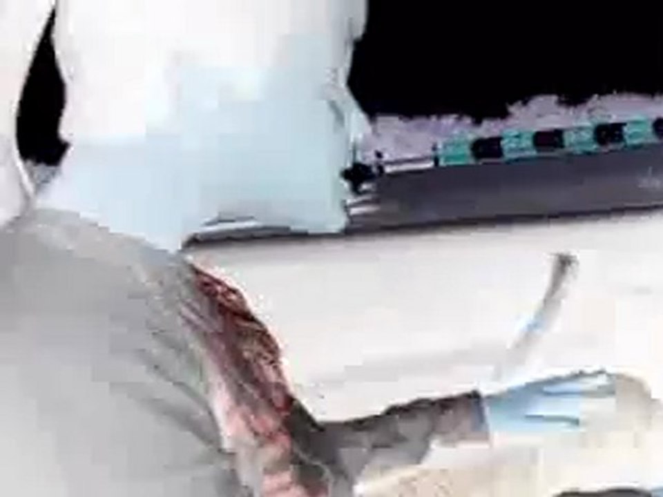 La maladie du coulou coulou 6