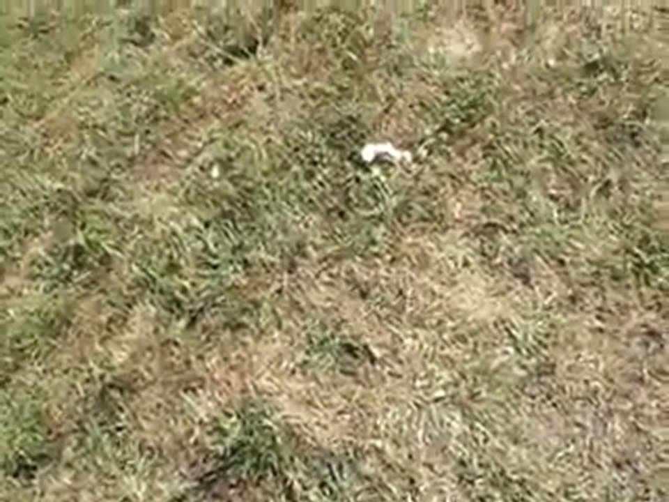 MOV31C_converted