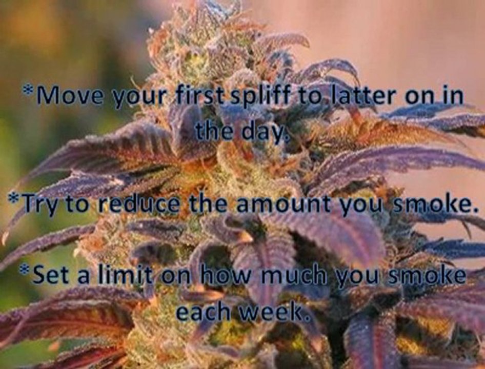 Marijuana Harm Reduction Tips